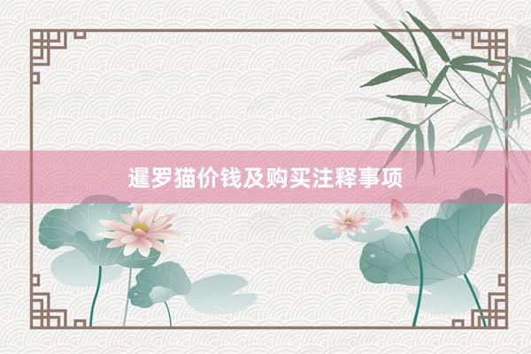 暹罗猫价钱及购买注释事项