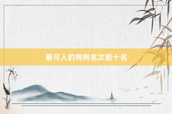 最可人的狗狗名次前十名