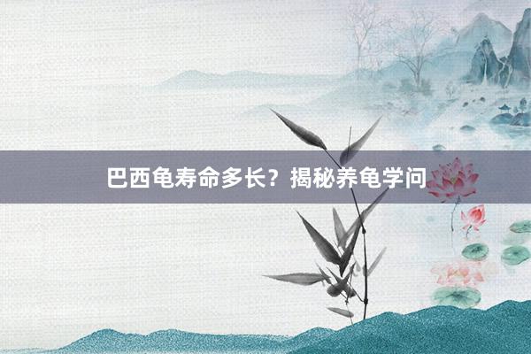 巴西龟寿命多长？揭秘养龟学问